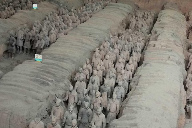 Xi'an Half-Day Private Tour of Terracotta Warriors and Horses Museum - Pits 2 and 3 add the missing details
