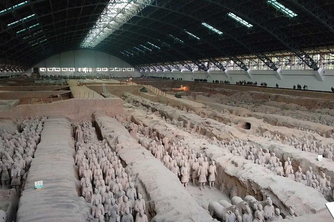 Xi'an Half-Day Private Tour of Terracotta Warriors and Horses Museum - Morning or afternoon: which departure works best?