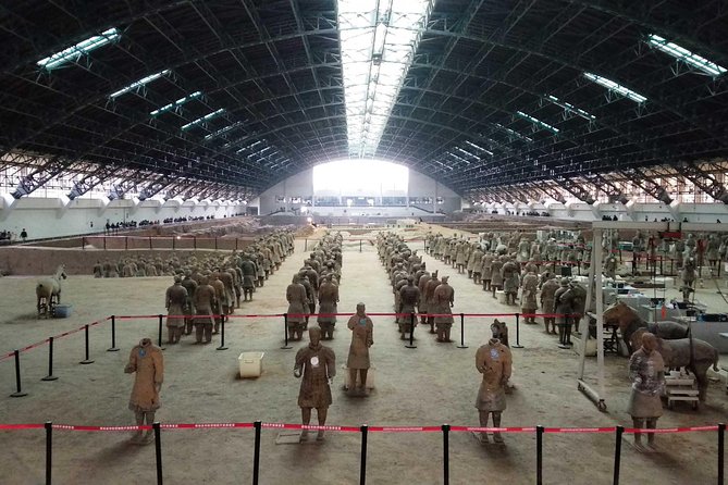 Xi'an Half-Day Private Tour of Terracotta Warriors and Horses Museum - What the price includes, and what it does not