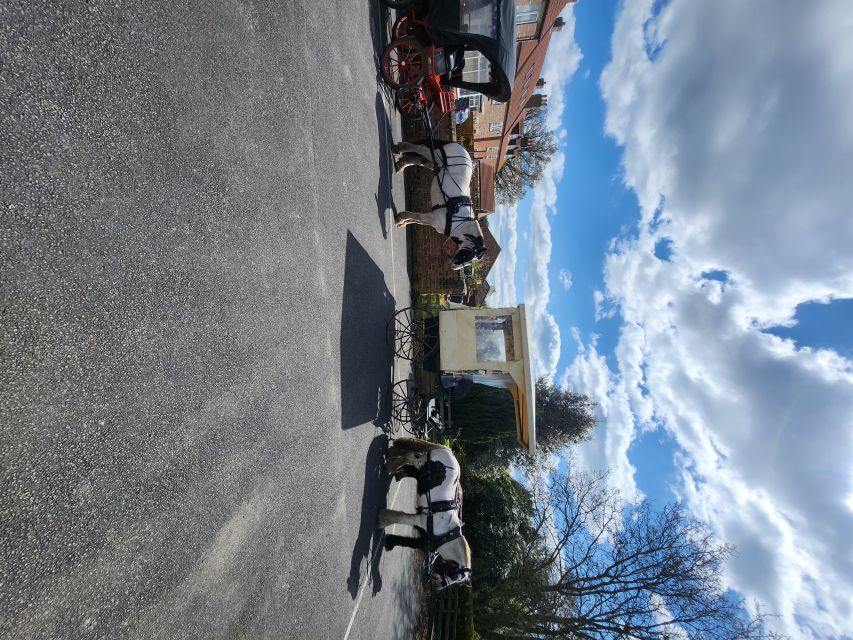 York: Horse Drawn Carriage ride & Cream Tea - A quiet carriage ride from Skipwith