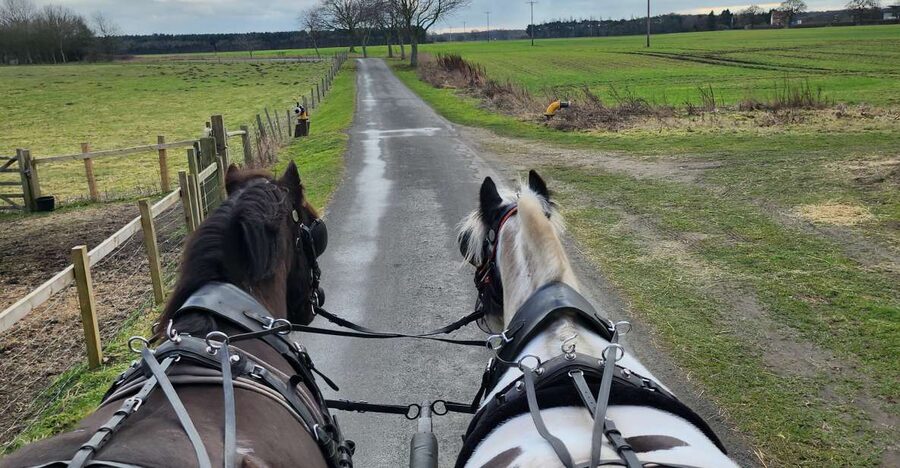 York: Horse Drawn Carriage ride & Cream Tea - The cream tea: simple, filling, and well timed