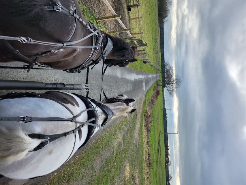 York: Horse Drawn Carriage ride & Cream Tea - What the one-hour route feels like