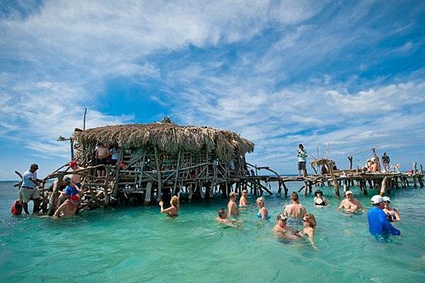 YS Falls, Pelican Bar, Horseback Ride/Swim Combo Tour with Lunch - YS Falls: the day’s strongest sightseeing stop