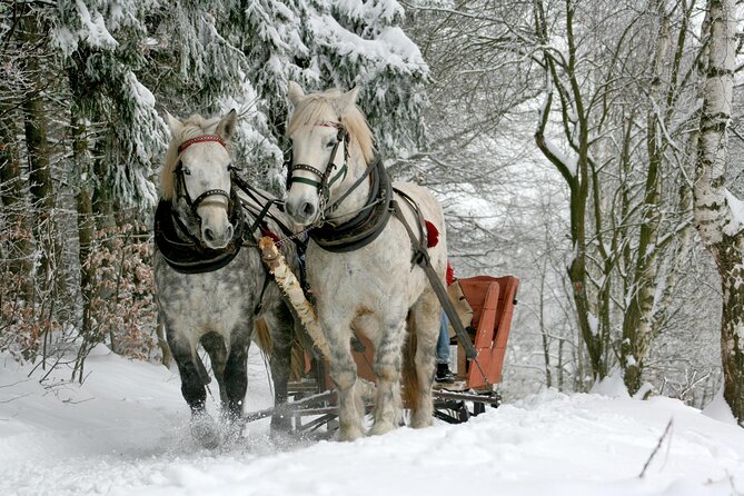 Zakopane Horse-Drawn Rides with Local Guide and Food Tasting - Winter sleigh rides and warmer-season carriages