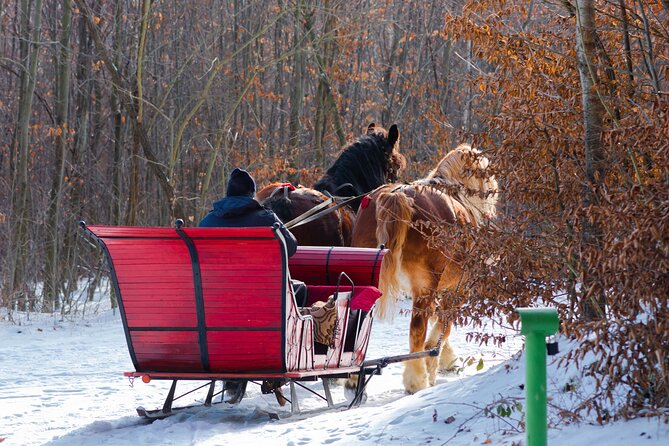 Zakopane Horse-Drawn Rides with Local Guide and Food Tasting - The guide and group experience