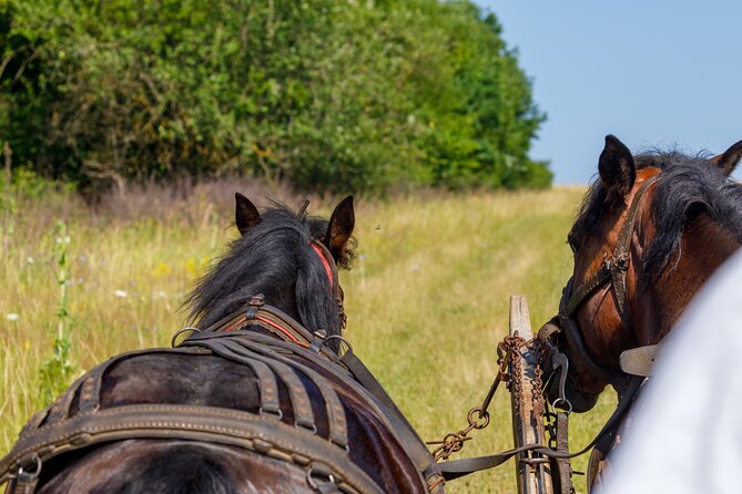 Zakopane Horse-Drawn Rides with Local Guide and Food Tasting - Who should book this outing