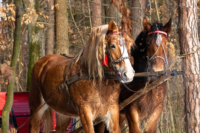 Zakopane Horse-Drawn Rides with Local Guide and Food Tasting - Pickup, timing, and the Krakow question