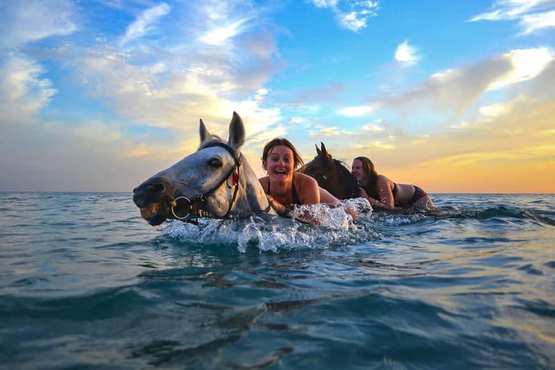 Zakynthos: Yotomu Horse Riding and Swimming Experience - Why ride horses in Zakynthos?