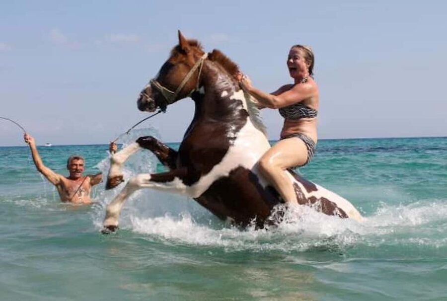 Zakynthos: Yotomu Horse Riding and Swimming Experience - The morning Ride and Swim, step by step