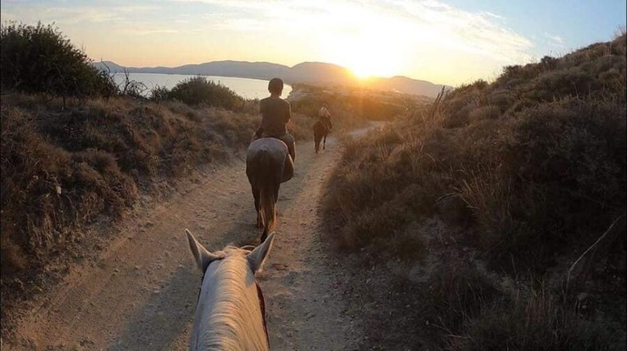 Zakynthos: Yotomu Horse Riding and Swimming Experience - What the one-hour countryside ride offers