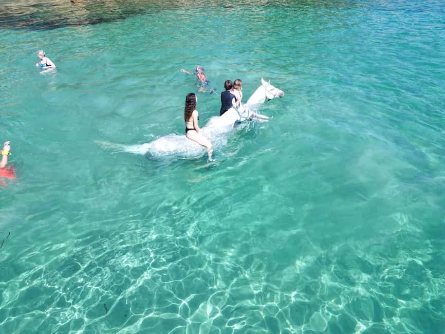 Zakynthos: Yotomu Horse Riding and Swimming Experience - Horses, guides, and the small-group feel