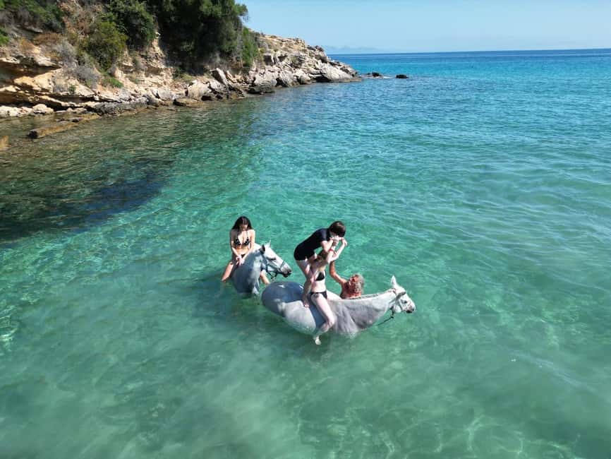 Zakynthos: Yotomu Horse Riding and Swimming Experience - Trail conditions and animal welfare