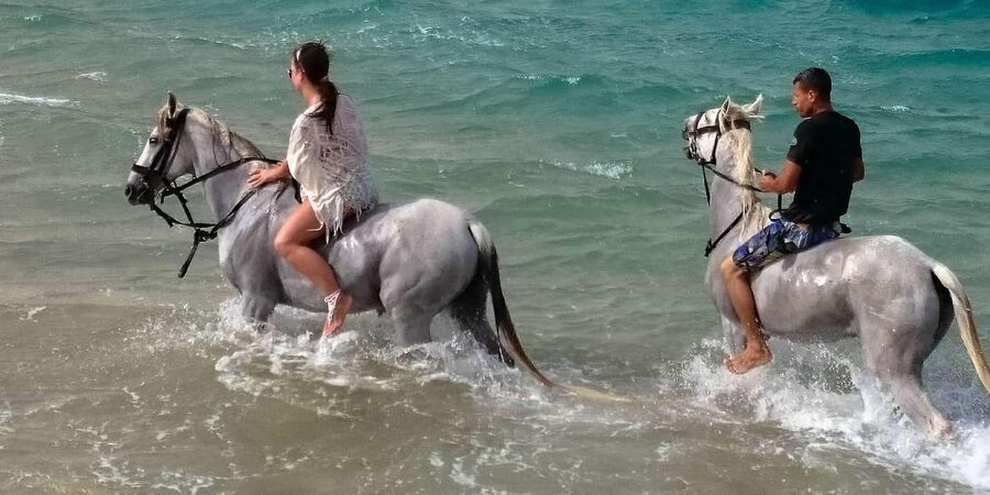 Zakynthos: Yotomu Horse Riding and Swimming Experience - Is $58 a fair price?