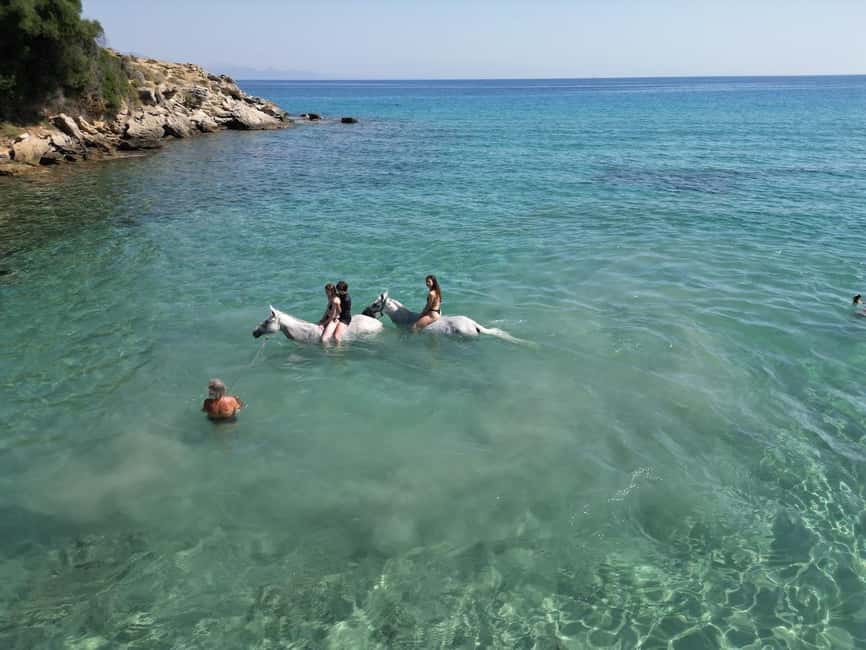 Zakynthos: Yotomu Horse Riding and Swimming Experience - Choosing between the three rides