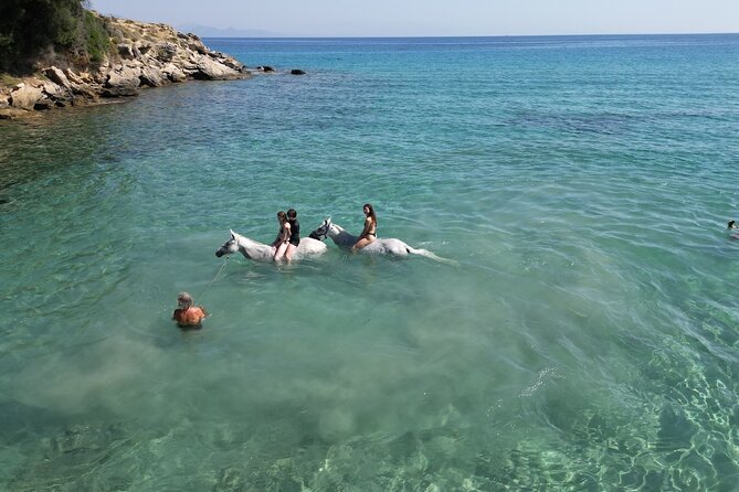 Zakytnhos Horse Riding Swimming Experience - The ride back completes the three-hour route