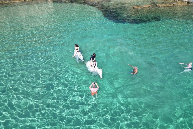 Zakytnhos Horse Riding Swimming Experience - The one-hour wild nature ride offers a shorter option