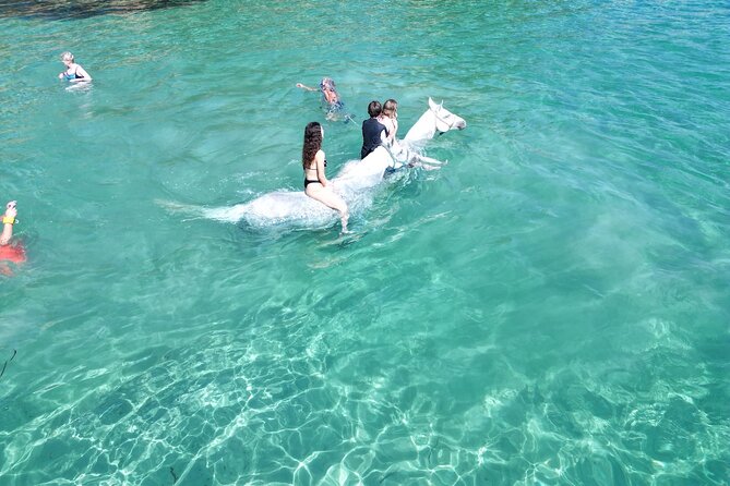 Zakytnhos Horse Riding Swimming Experience - Why the small group matters
