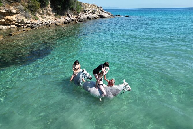 Zakytnhos Horse Riding Swimming Experience - Who can take part, and who should think twice