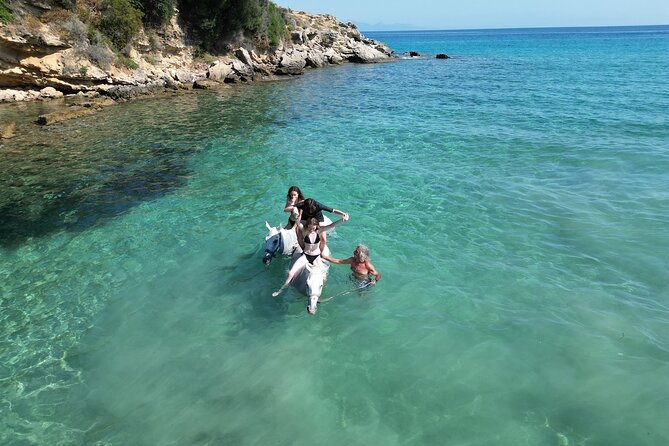 Zakytnhos Horse Riding Swimming Experience - Is $59.86 good value?