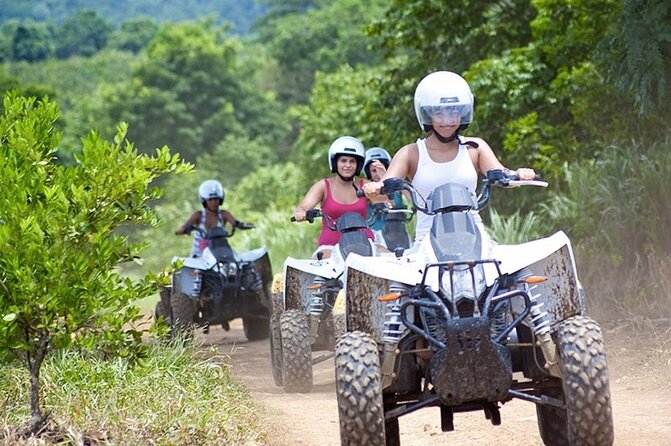 Zip-lining/Horseback Rides/Cat & Atv Inclusive Act with Transpo From Montego Bay - Ziplining with a careful eye on the landing area