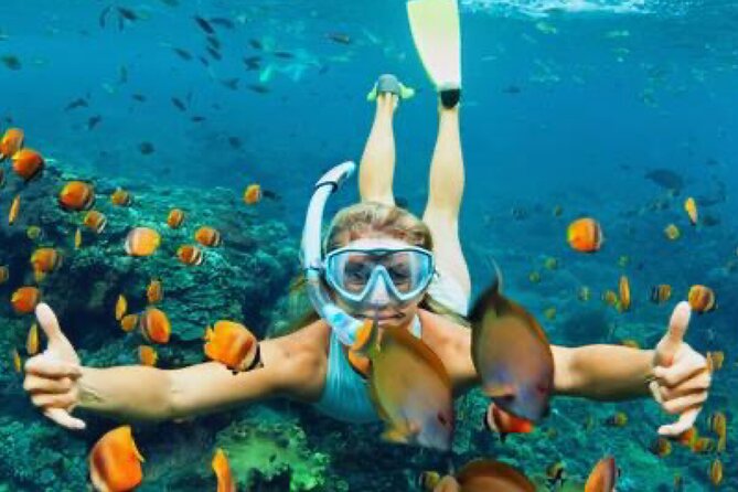 Zip-lining/Horseback Rides/Cat & Atv Inclusive Act with Transpo From Montego Bay - How the private format affects the day