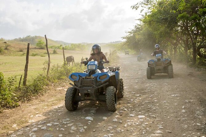 Zip-lining/Horseback Rides/Cat & Atv Inclusive Act with Transpo From Montego Bay - Hotel pickup from Montego Bay
