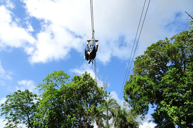 Zip N Splash Adventure plus Horseback Riding - The Garden and Animal Stop