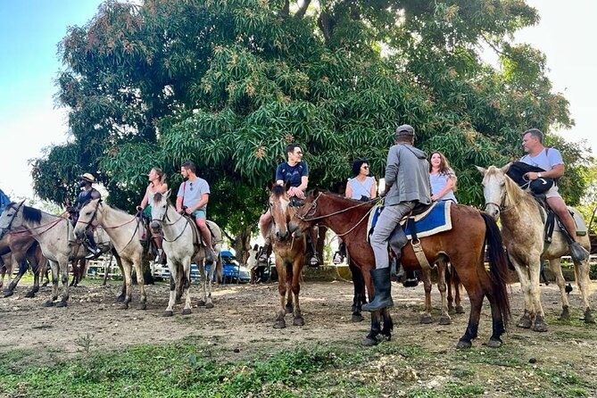 Zipline,Dune Buggy,Horse Riding - A short horseback route through cocoa country