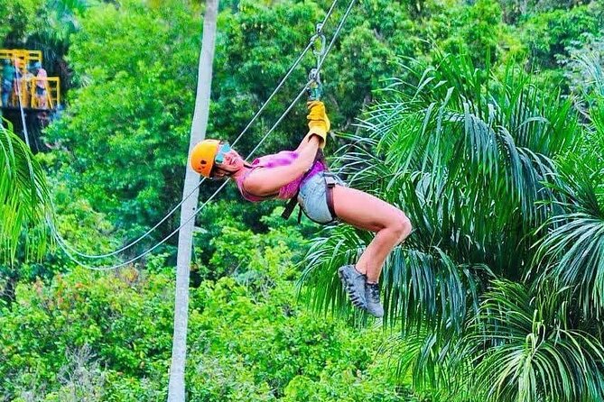 Zipline, Horse, Buggy and Macao Beach, Water Park with Lunch - Coffee, green tea, and a stop at an organic farm