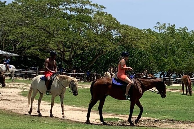 Zipline, Horseback Ride, ATV and Catamaran from Montego Bay - Hotel pickup with a private driver